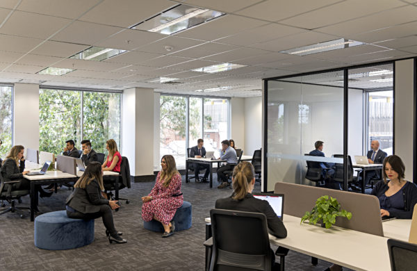 Shared Office Space