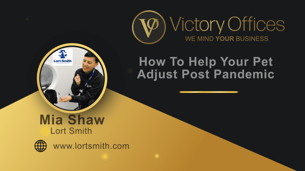 How To Help Your Pet Adjust Post Pandemic