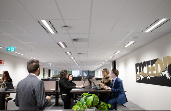 Professionals in coworking space