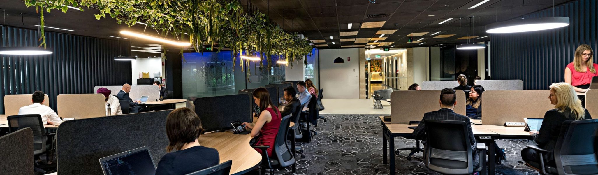 Coworking Space Box Hill